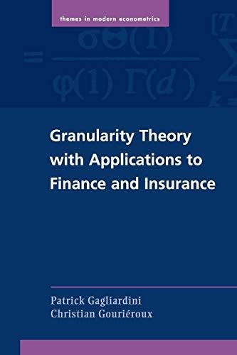 [A11934864]Granularity Theory with Applications to Finance and Insurance (T_画像1