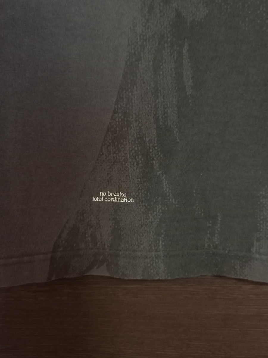 Devilock デビロック 2000s ビンテージ グラフィック　ガール　フォト　Tシャツ　ブラック　×　ピンク　サイズ表記L　90s　裏原宿　affa_画像5