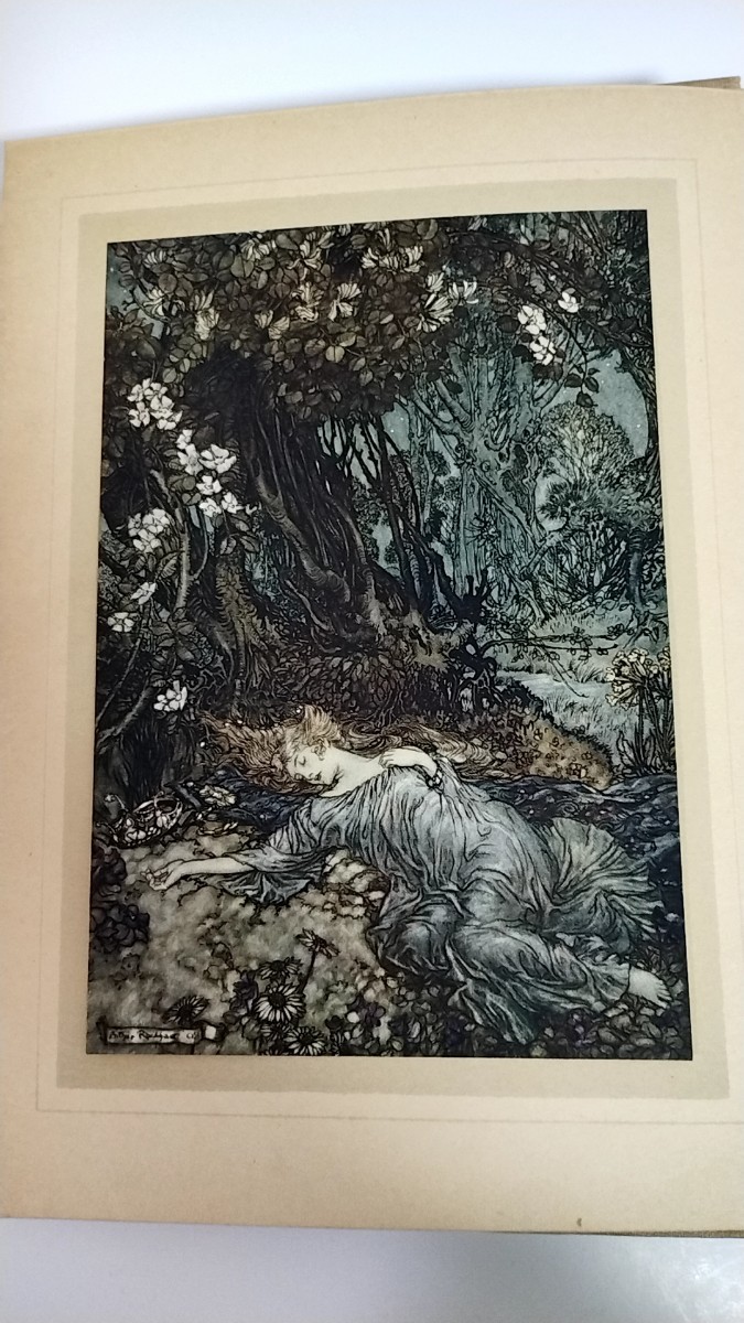 ◆アーサー・ラッカム 1908年初版◆ 真夏の夜の夢 挿絵本 全40枚 カラー ウィリアム・シェイクスピア_画像6