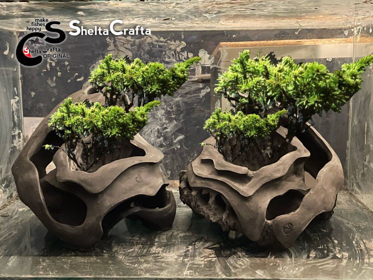 【全国送料無料】SheltaCraftaオリジナル　Asatシェルター　試作機8 熱帯魚　アクアリウムのシェルター　植木鉢　盆栽などに_画像7