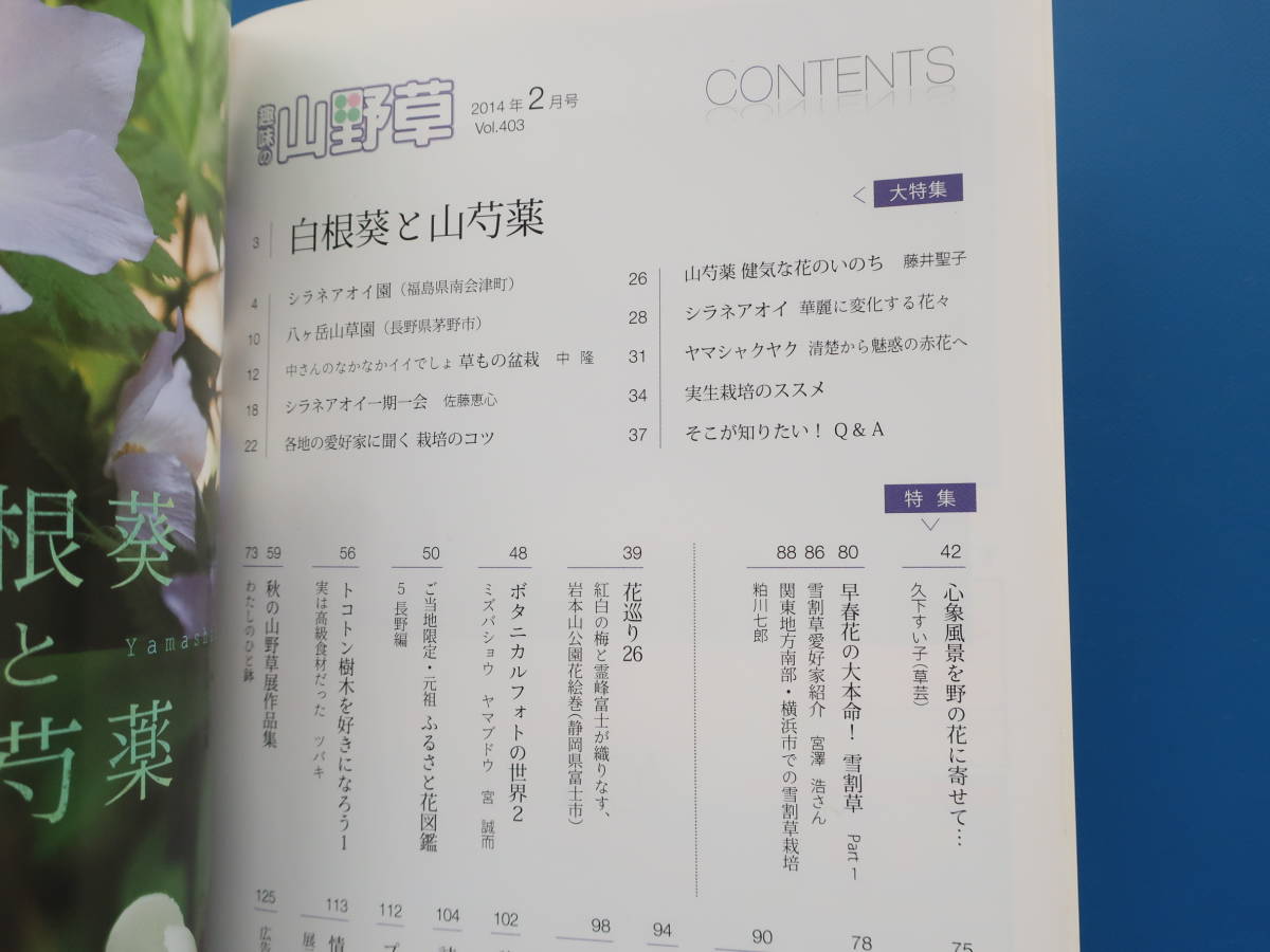 趣味の山野草 2014年2月号/特集:白根葵と山芍薬/心象風景を野の花に寄せて 雪割草 水晶寒蘭 おもと/花図鑑/東洋ラン/山野草展/シラネアオイ_画像2