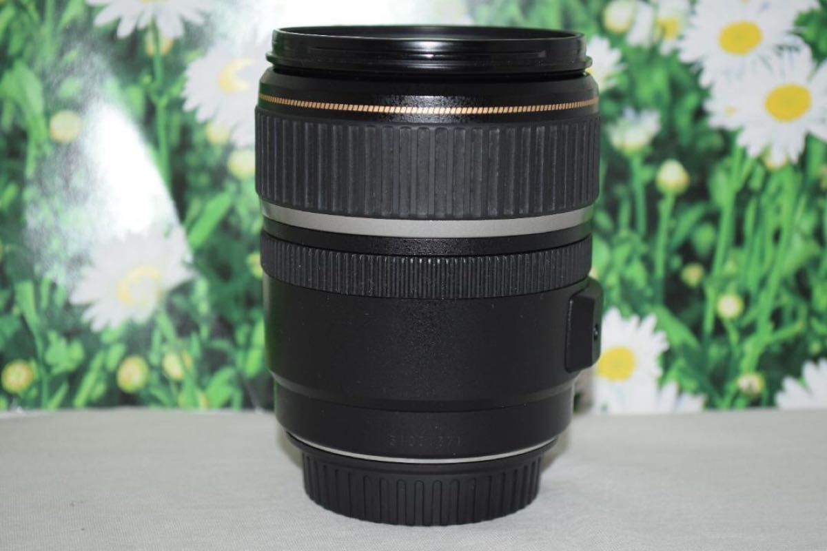 ☆Canon EF-S 17-85mm IS USM☆手ブレ補正付き☆