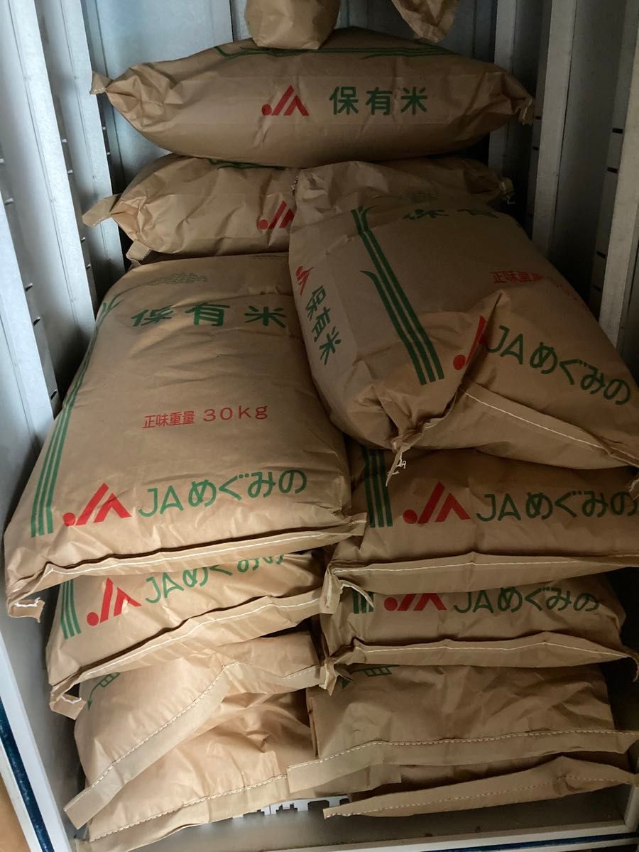 新米　岐阜県産　農家直送　令和5年度コシヒカリ 玄米　10キロ　