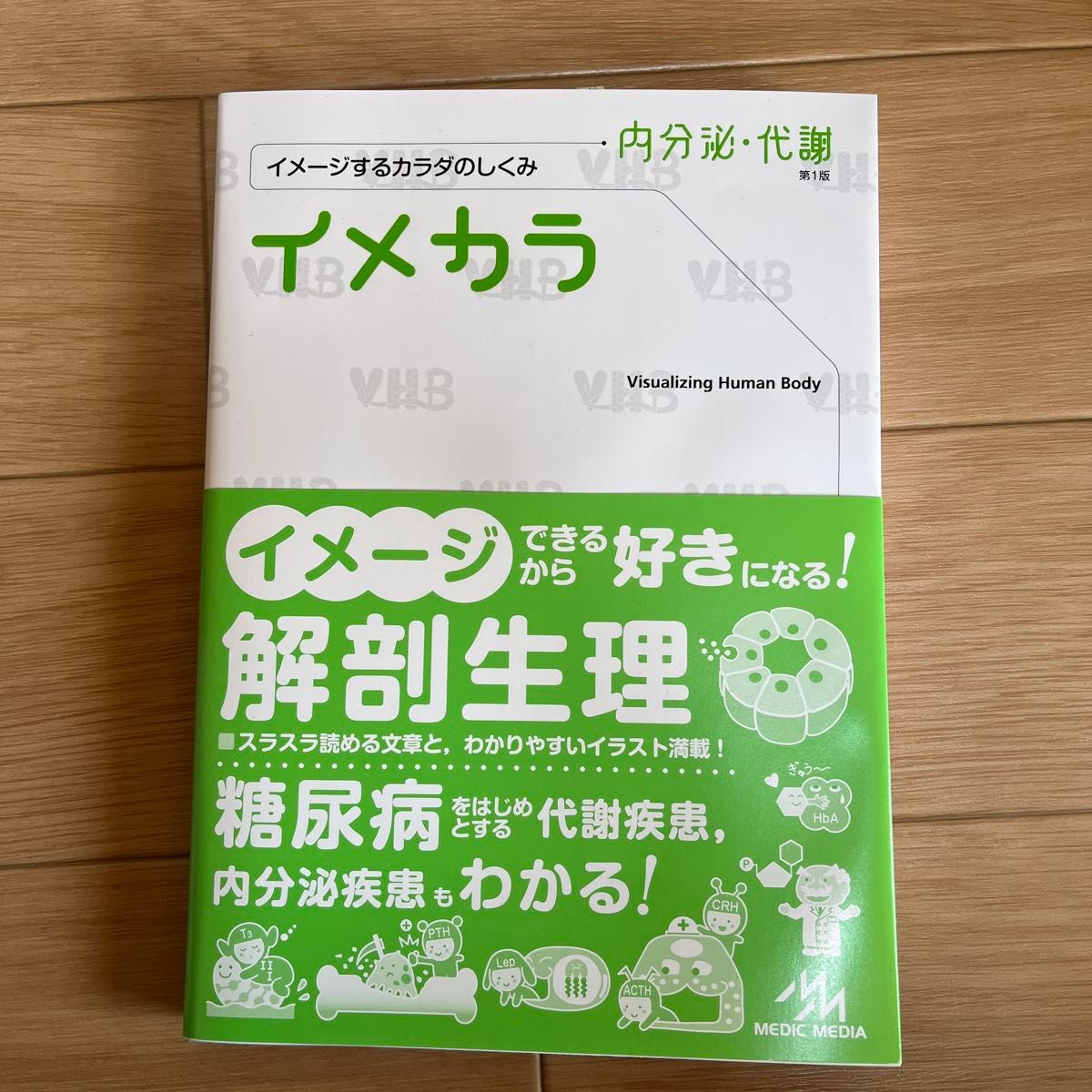 イメカラ　イメージするカラダのしくみ　内分泌・代謝 医療情報科学研究所／編集