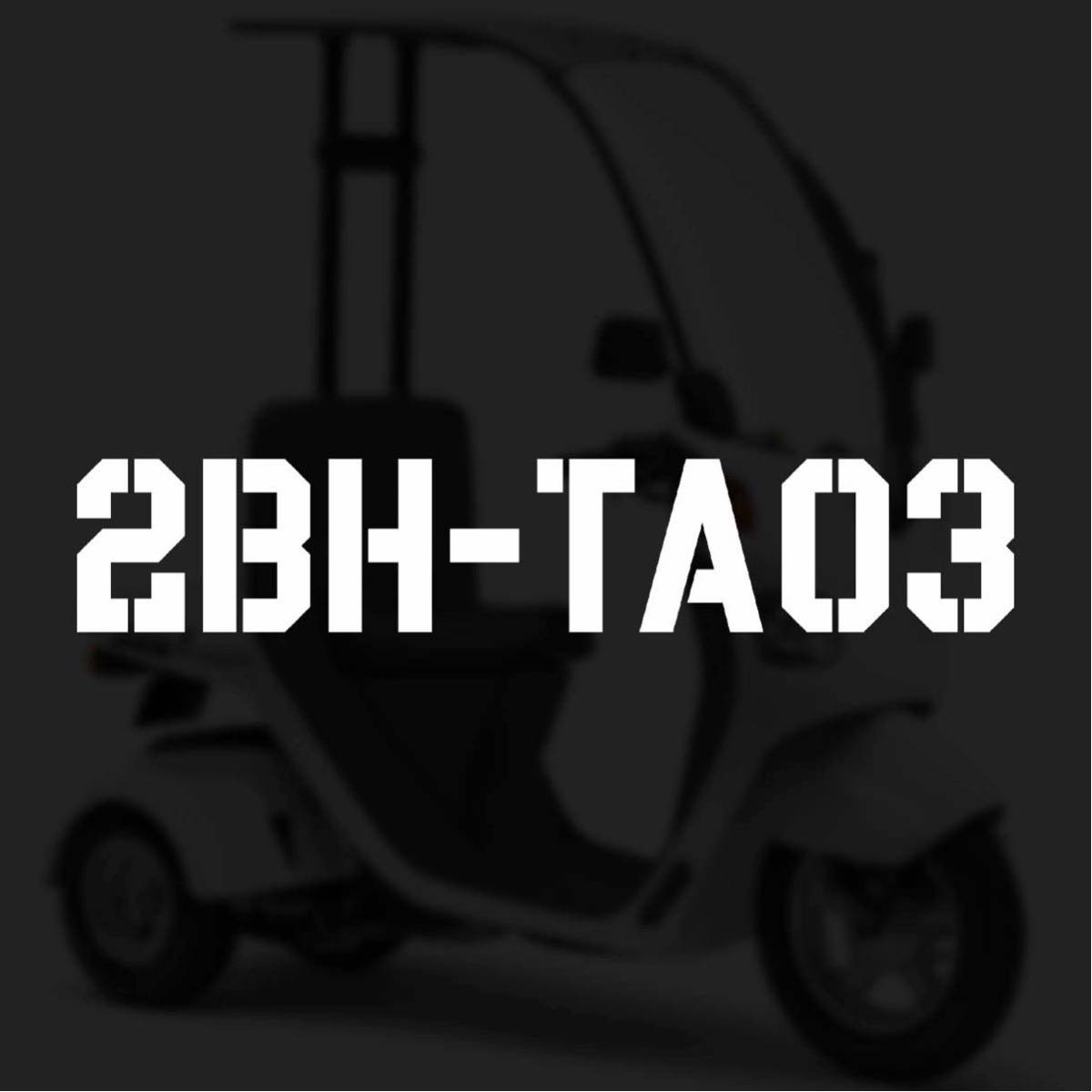 【カッティングステッカー】2BH-TA03 ジャイロキャノピー 型式ステッカー ホンダ シンプル_画像1