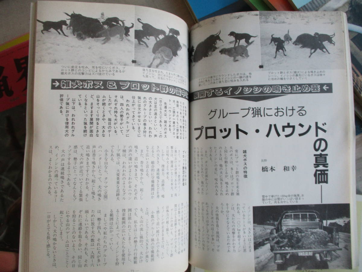 E0 狩猟界 1995年（平成7年）第39巻12冊セット 狩猟界社 イノシシ猟 エゾシカ猟 ワナ猟 獣猟犬訓練 ライフル銃の画像8