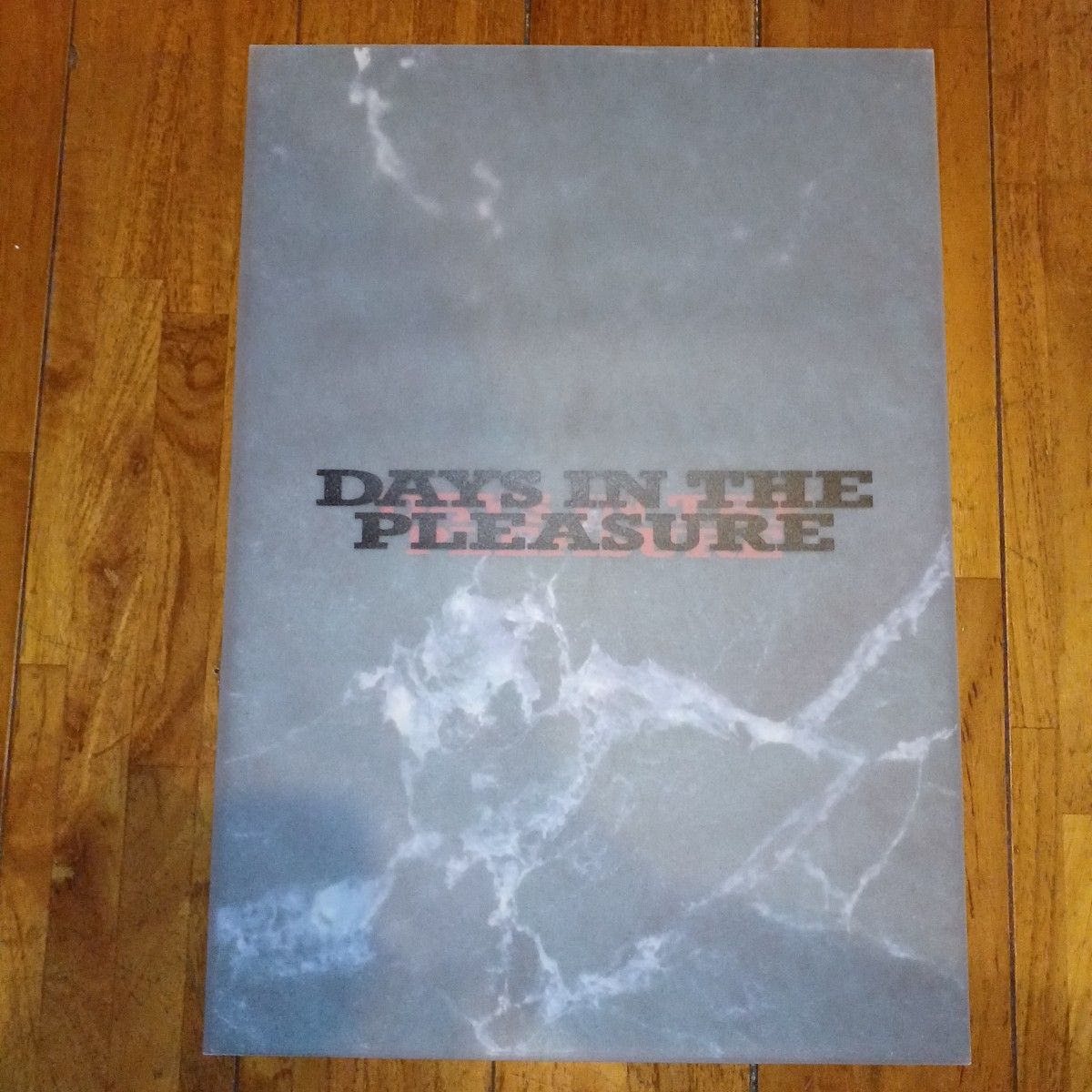 B'z パンフレット DAYS IN THE PLEASURE LIVE-GYM Pleasure'91 B'z パンフレット DAYS IN THE PLEASURE LIVE-GYM Pleasure'91