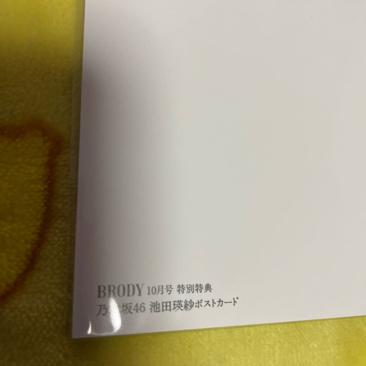 池田瑛紗　ポストカード　ブロディセブンネットショッピング限定ポストカード　乃木坂46 BRODY 非売品ポストカード　レア　池田瑛紗_画像3