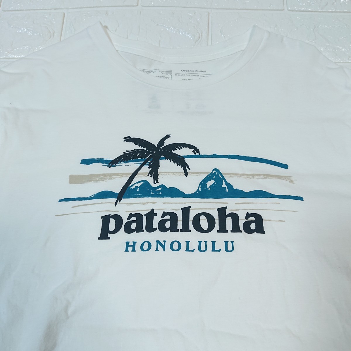 【ハワイ限定】patagonia パタゴニア pataloha パタロハ HONOLULU ホノルル Tシャツ Mサイズ ホワイト logo t-shirt tee hawaii_画像4