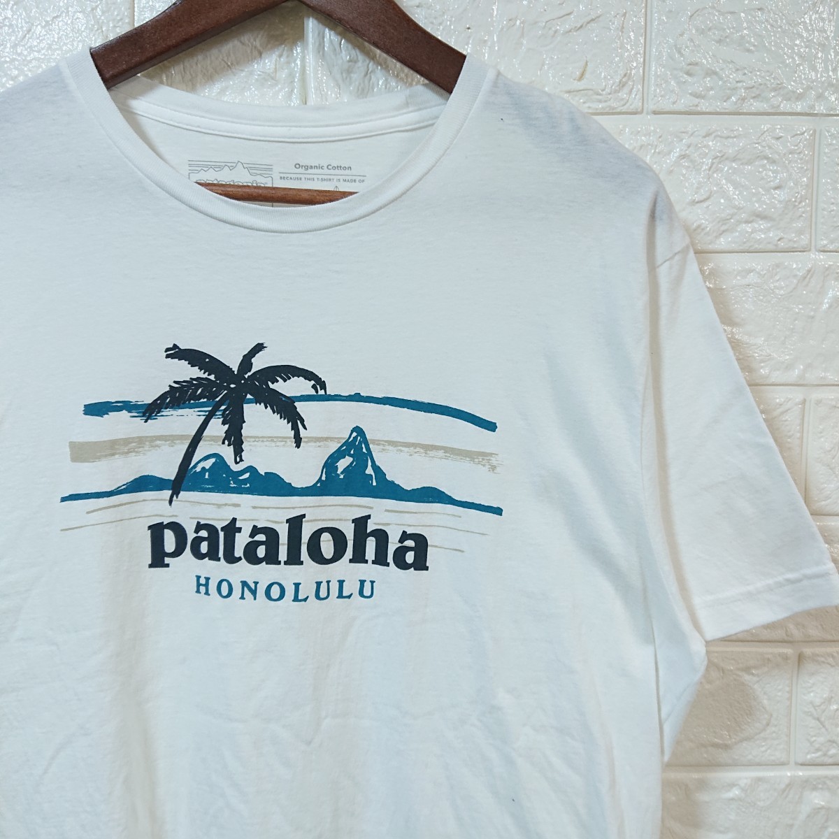 【ハワイ限定】patagonia パタゴニア pataloha パタロハ HONOLULU ホノルル Tシャツ Mサイズ ホワイト logo t-shirt tee hawaii_画像1