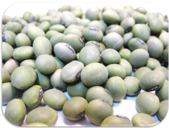 hi.. legume 200g legume power Yamagata prefecture production blue large legume ( mail service )..... domestic production dry bean domestic production beans dry large legume large legume Japanese style food ingredients raw legume business use 