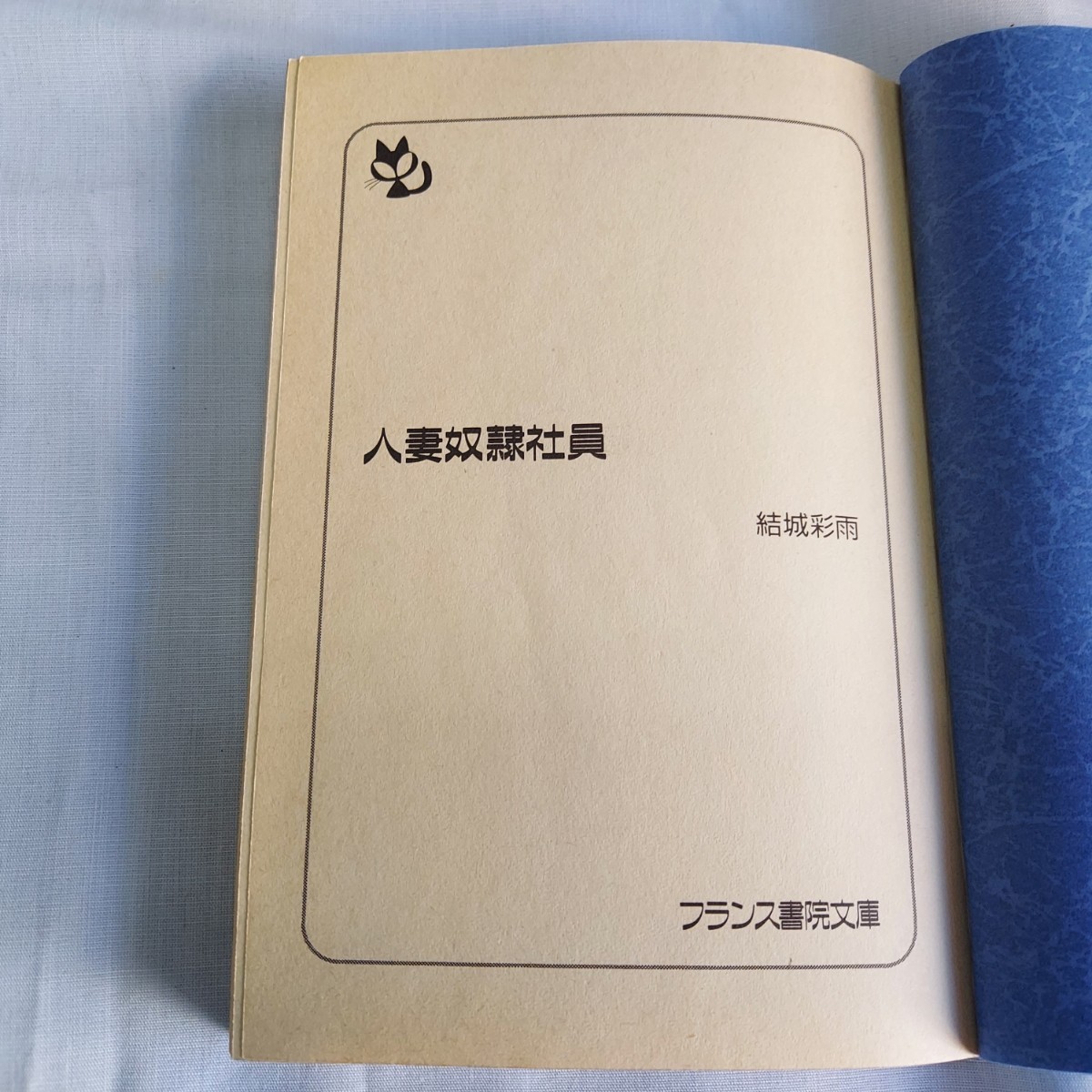 ★フランス書院文庫★人妻奴隷社員★結城彩雨★★中古★_画像3