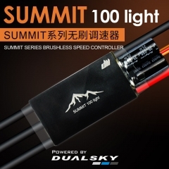 デュアルスカイ アンプ SUMMIT 100Light　未使用_画像1