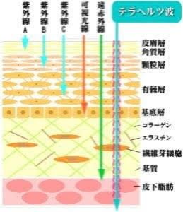 【物価高騰応援価格】【おまけ付き】ケイ素水生成スティック　１本