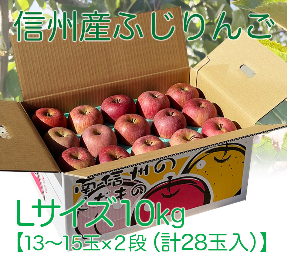 【お買得★Lサイズ10キロ】信州産サンふじ完熟りんご★Lサイズ★10キロ28玉入★農家直送★一律送料1000円（北海道1400円・沖縄1700円）_画像1