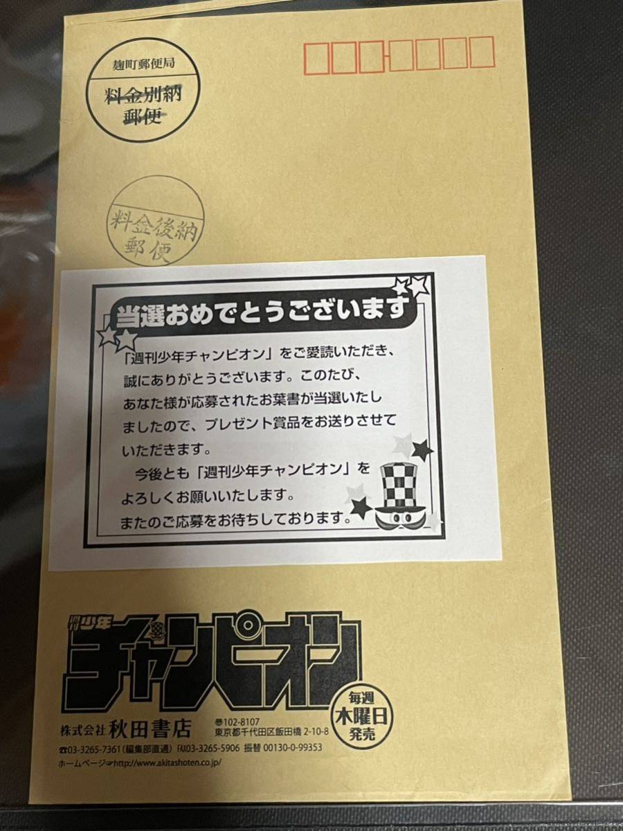  weekly Shonen Champion elected goods 2023 year 26 number Hyuga city slope 46 Watanabe ..QUO QUO card present selection notification paper equipped . selection present 