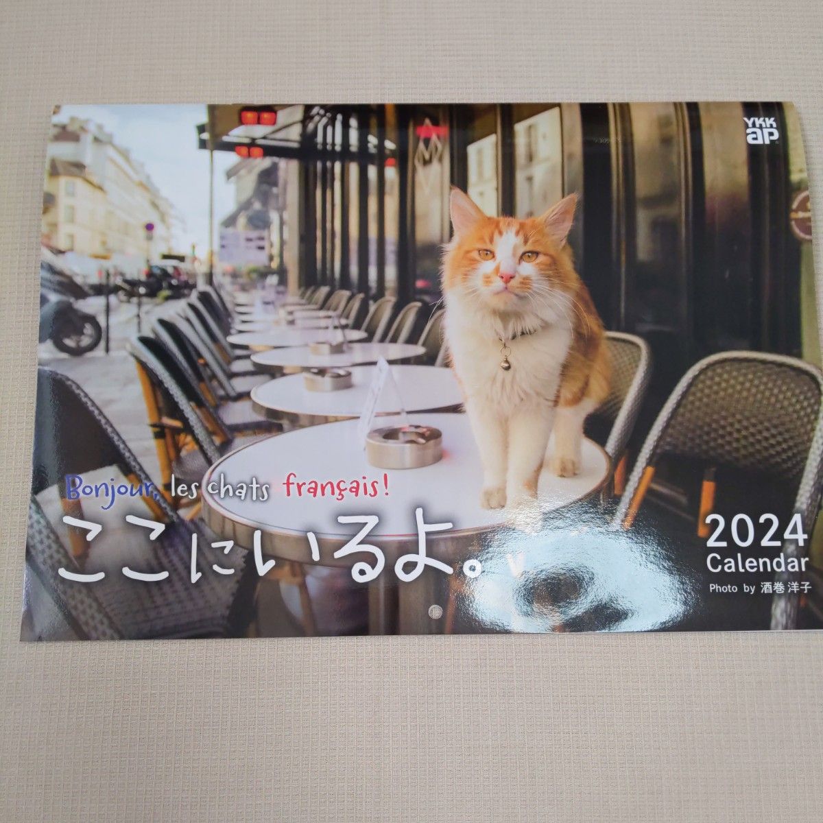 2024年　壁掛けカレンダー　猫　ねこ　ここにいるよ　坂巻洋子