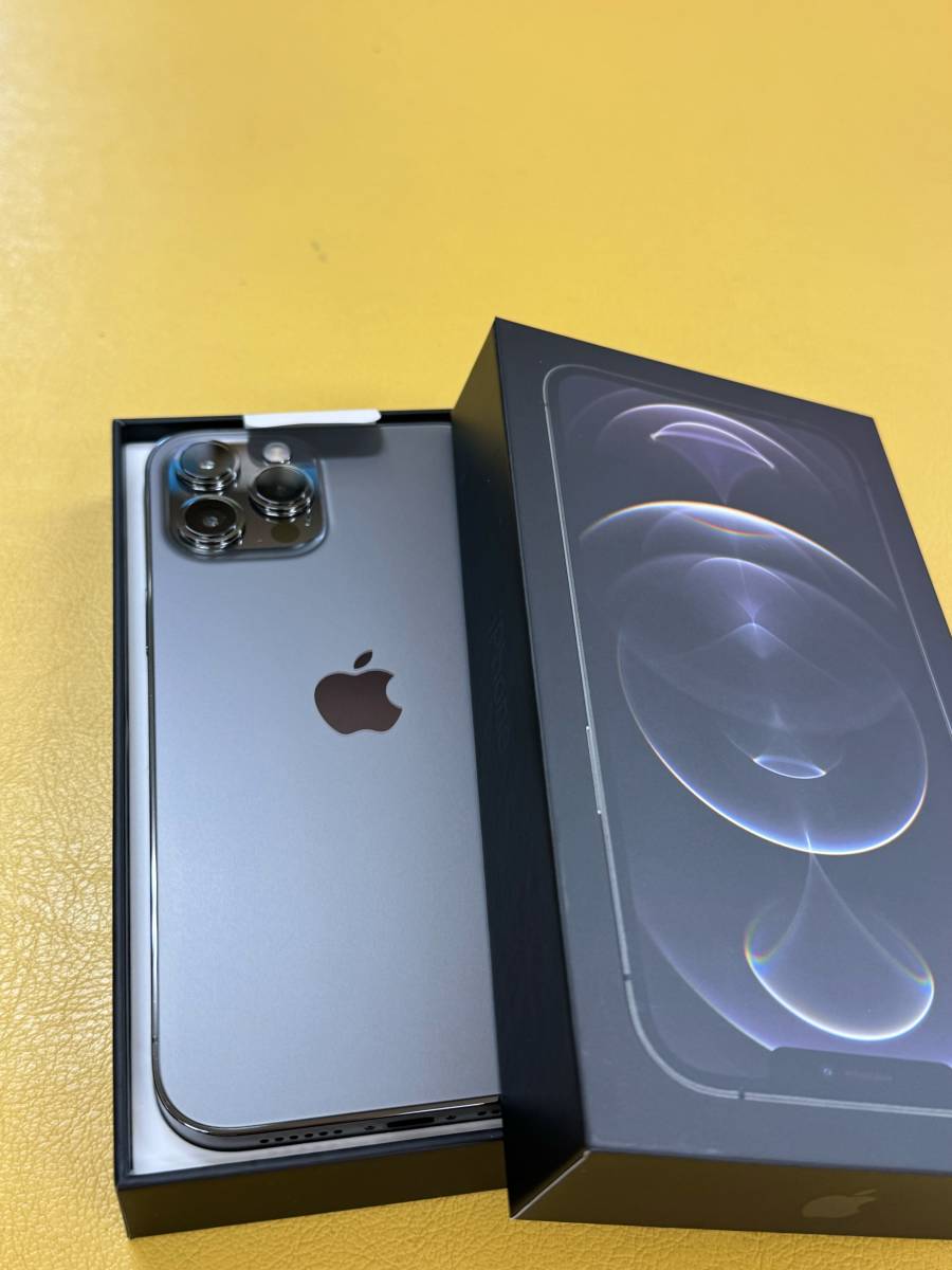 iPhone 12 Pro Max　＋　 おまけで手帳型皮ケース付き（アイスブルー）_画像2