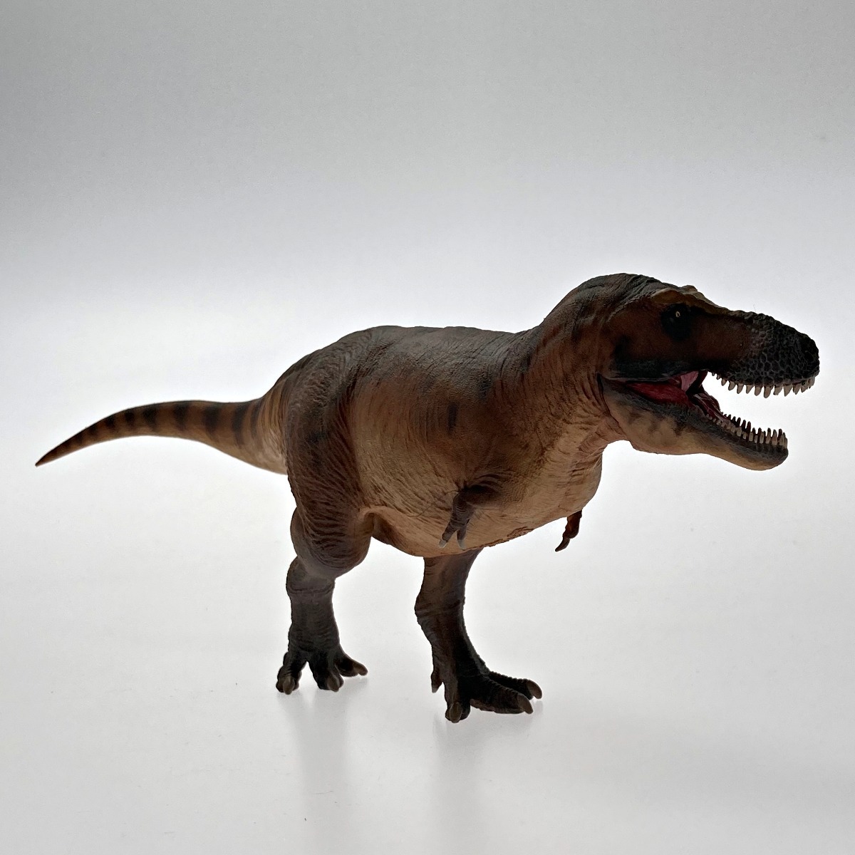 ♯Jpi13FzネイチャーMONOヤドクガエル2ストラップマグネット16種 ♯Jpi13FzネイチャーMONOヤドクガエル2ストラップマグネット16種