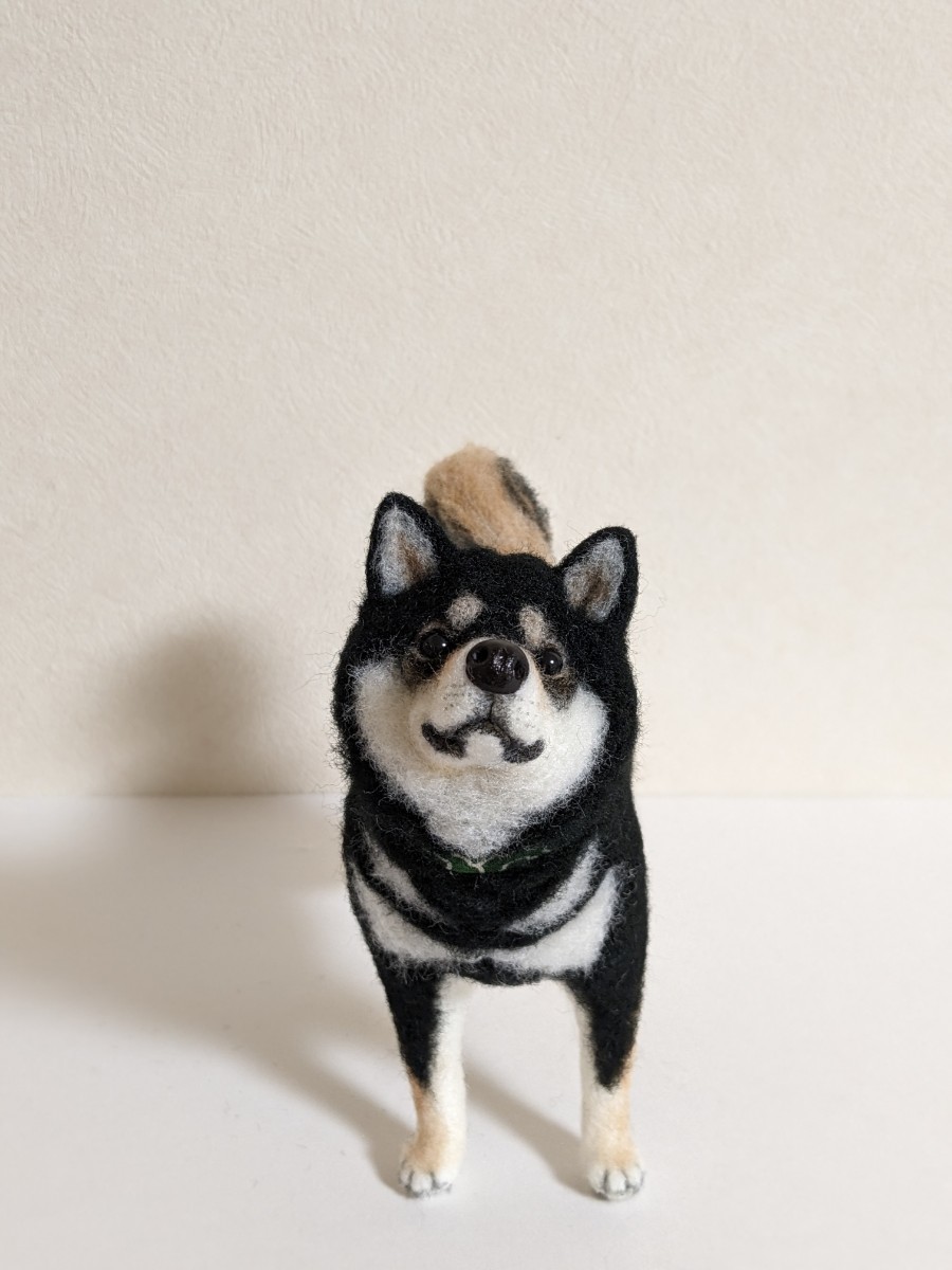 羊毛フェルト 柴犬 豆柴 黒柴 唐草模様 犬 ハンドメイド 〜とも 羊毛フェルト 柴犬 豆柴 黒柴 唐草模様 犬 ハンドメイド 〜とも