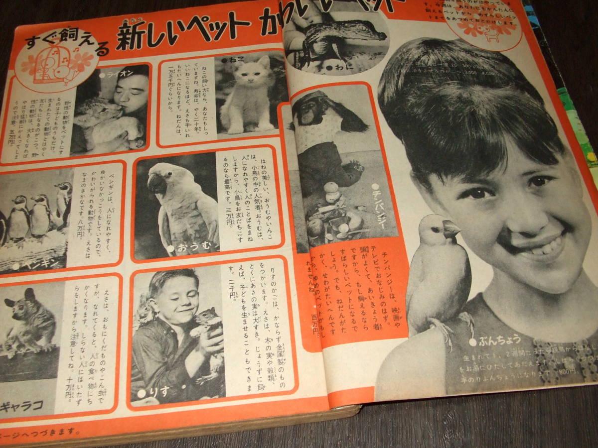 少女フレンド1966年35号◆はしれフレンド=松本零士/真珠のいのち=細川知栄子/黒いねこ面=楳図かずお/みそっかす=ちばてつや_画像7