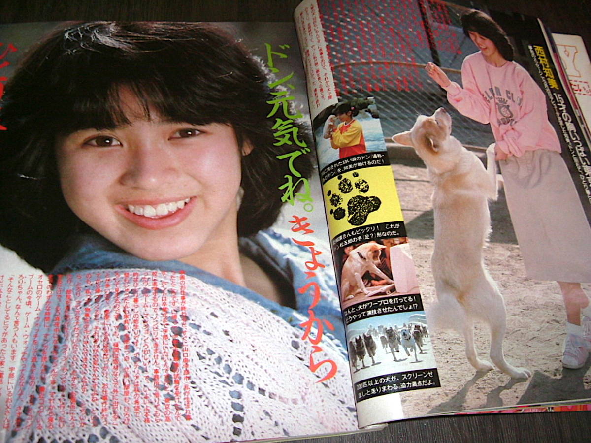 明星1986年4月号◇岡田有希子/河合奈保子/小泉今日子/石川秀美 明星1986年4月号◇岡田有希子/河合奈保子/小泉今日子/石川秀美