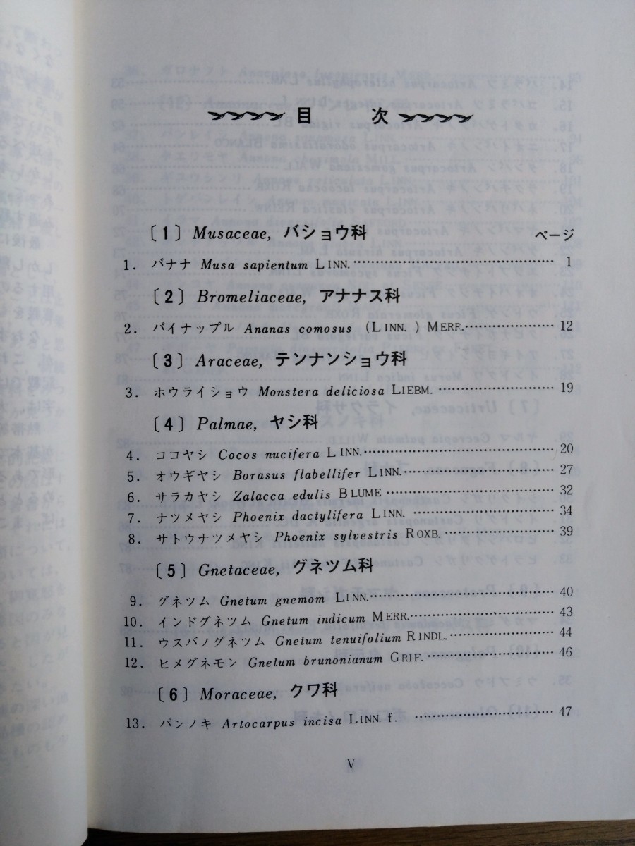 東南アジアの果樹　昭和49年12月 発行（財）農林統計協会　　植物図鑑　熱帯植物　熱帯果樹　熱帯果実　東南アジアの果物　_画像6