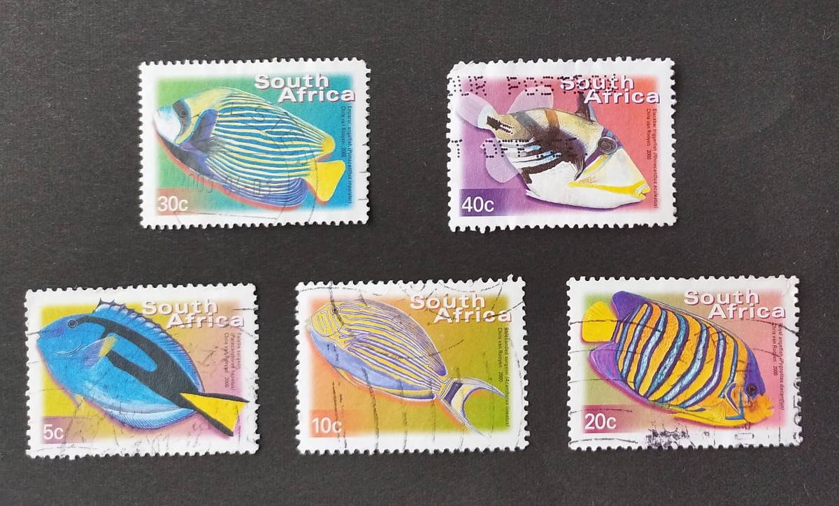 南アフリカの魚の切手5種　2000-11-01 シリーズDefinitives Flora and Fauna 　_画像1