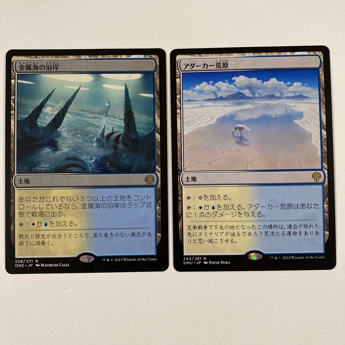 金属海の沿岸/アダーカー荒原/2枚セット/日本語/Magic the Gathering/MTG_画像1