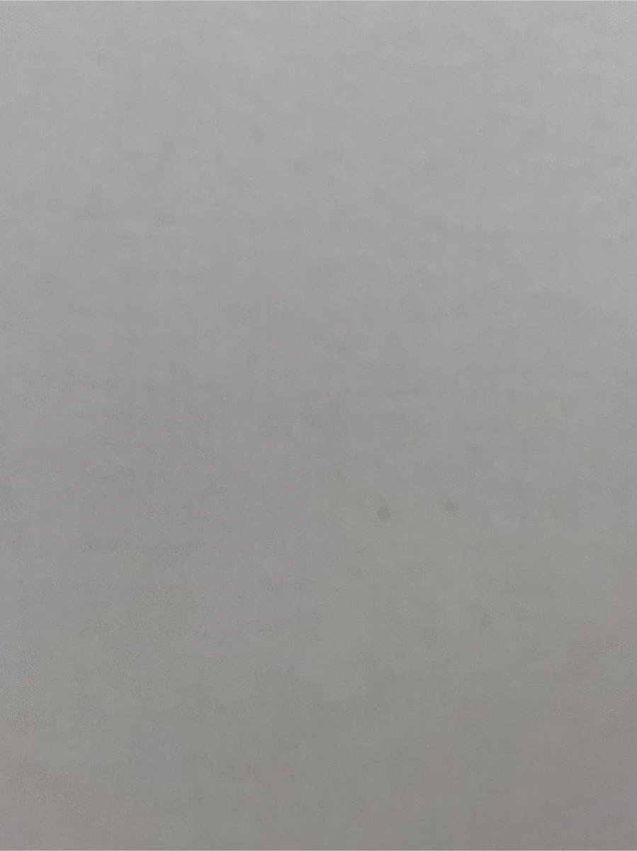 2014 「エアプランツ」tillandsia gilliesii × tenebra 抜き苗【希少・美株・チランジア】_画像8