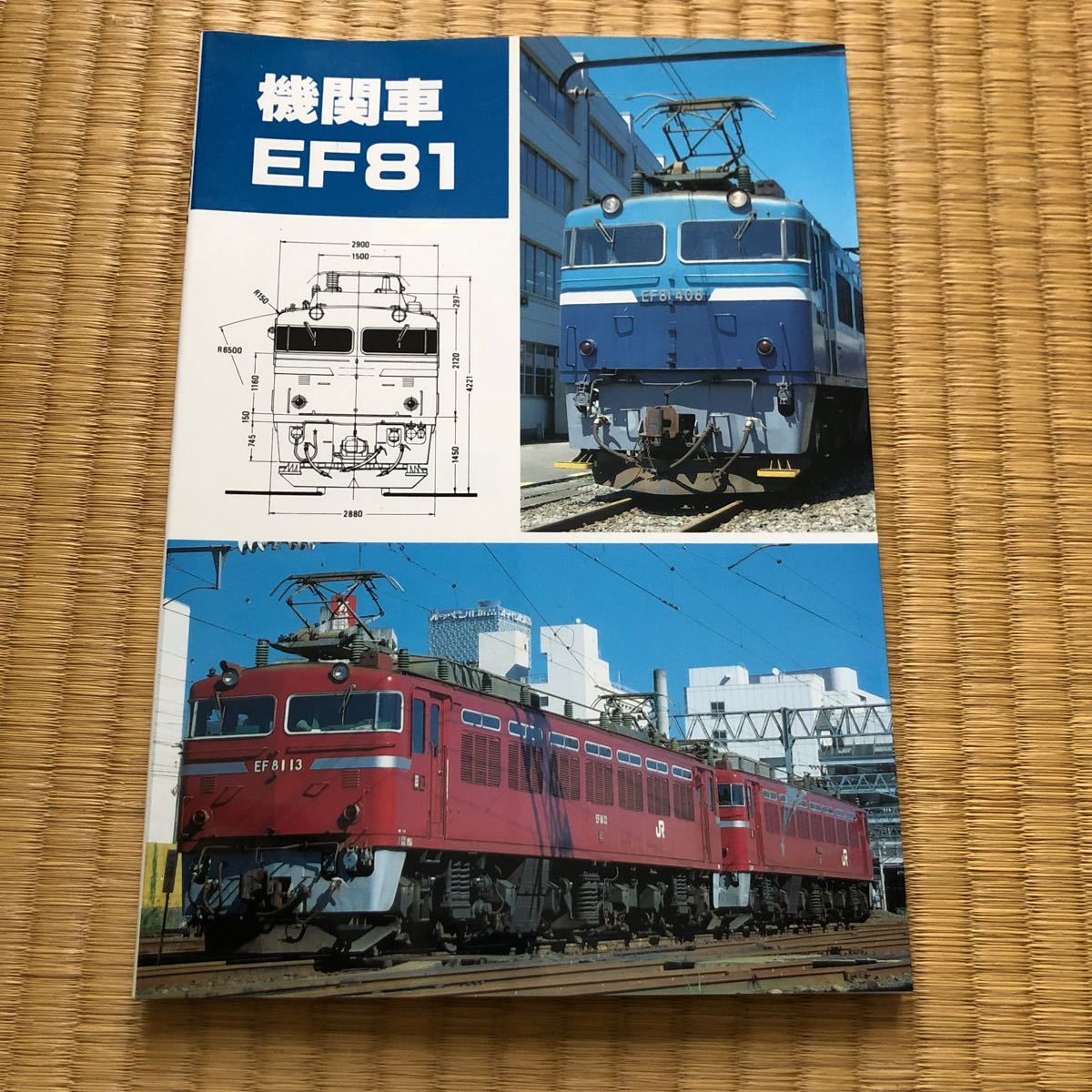 SHIN企画　機関車EF81_画像1