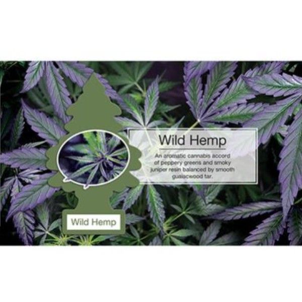 リトルツリー エアフレッシュナーワイルド・ヘンプ（Wild Hemp）3枚セット USDM 芳香剤