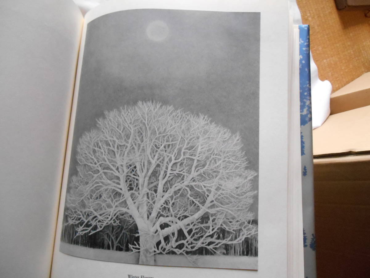 老蘇　 書籍　 ＜3＞ ｛画集｝　「 KAII HIGASHIYAMA　◇　1947－1976 」 ～　1947年の「残光」から1976年「山峡（スケッチ）」まで_画像6