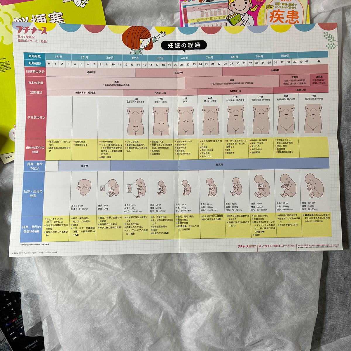 プチナース 2019年 4月号[雑誌]看護学生の勉強ガイド/SOAPの書きかた 付録:疾患まるわかりガイド/暗記ポスター1母性