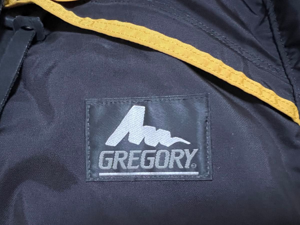 GREGORY グレゴリー レアカラー デイパック 銀タグ イエロー GREGORY グレゴリー レアカラー デイパック 銀タグ イエロー