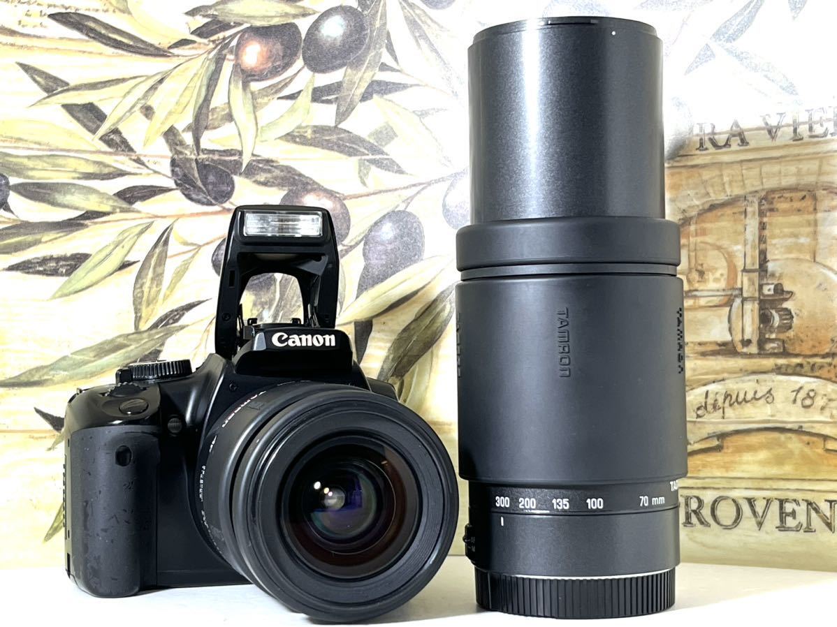 キャノン Canon EOS Kiss デジタルX レンズ2本セット 化粧箱付き 純正バッテリー&充電器 CFカード付き すぐに撮影できます♪ 本日値下げ！_画像3