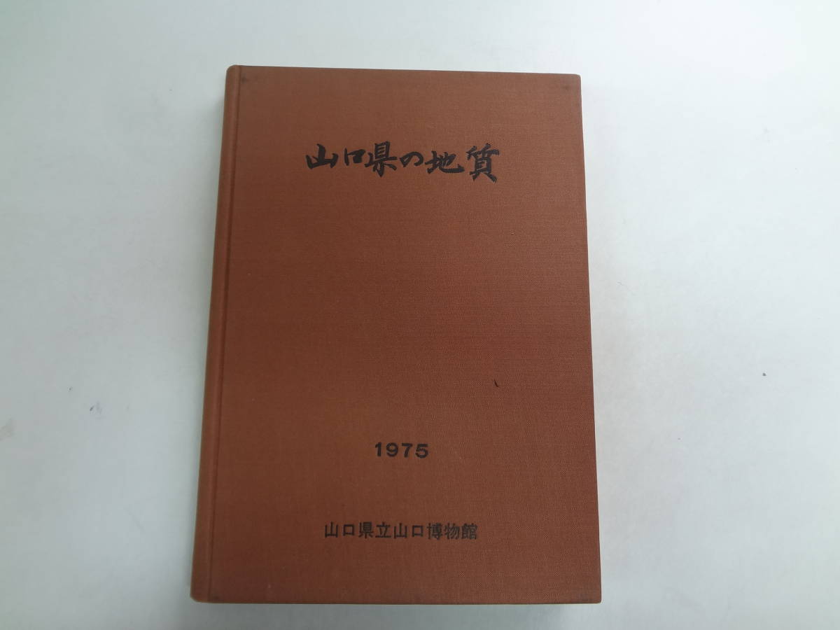 YC-3 入門頭蓋骨矯正法 頭蓋オステオパシーの理論と技術 デニス・ブルックス著 1984年初版 - 医学一般 YC-3 入門頭蓋骨矯正法 頭蓋オステオパシーの理論と技術 デニス・ブルックス著 1984年初版 - 医学一般