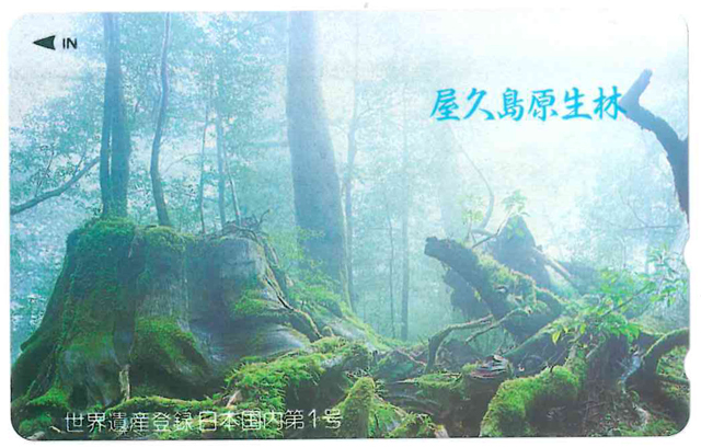 屋久島原生林テレカ　世界遺産登録日本国内第1号　未使用品_画像1