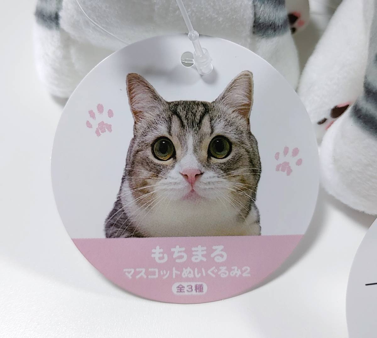 ジュラシック・ワールド 新たなる支配者 スペシャルぬいぐるみ ジュラシック・ワールド 新たなる支配者 スペシャルぬいぐるみ