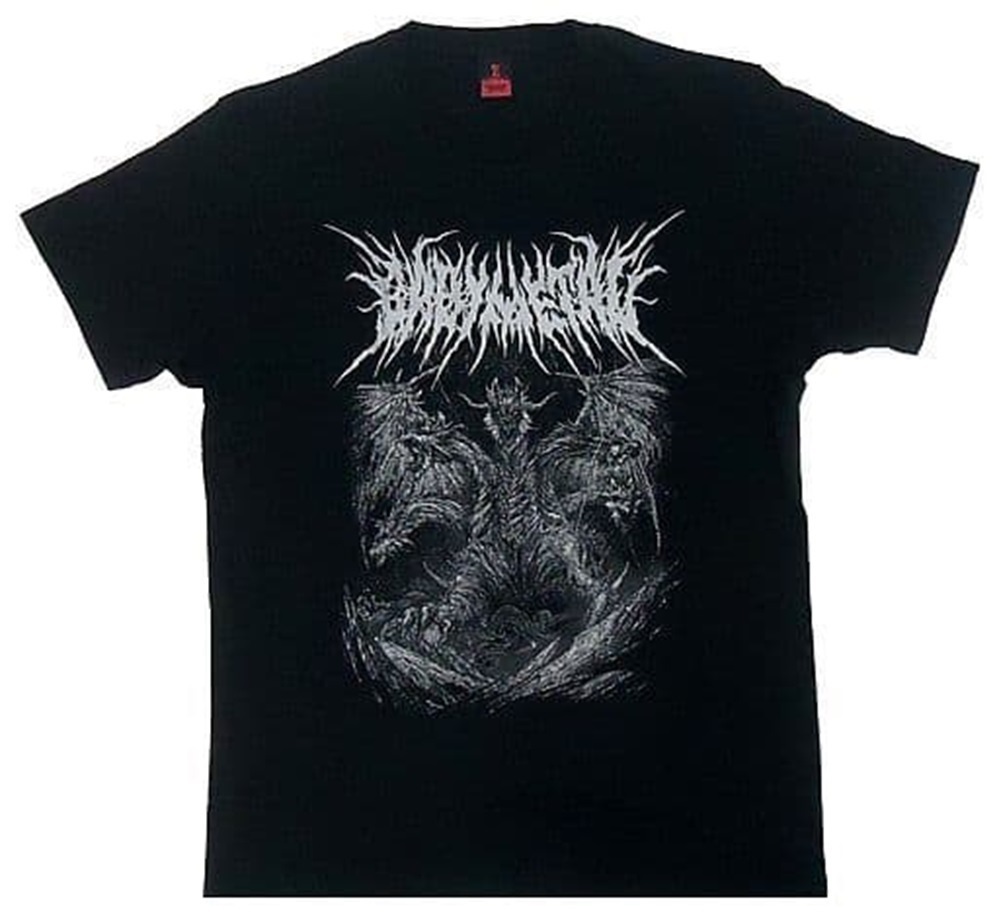 ER49/bebimetaBABYMETAL THE CHOSEN FIVE TEE T-shirt silver L size [5 large fox festival in JAPAN/ silver fox festival ]