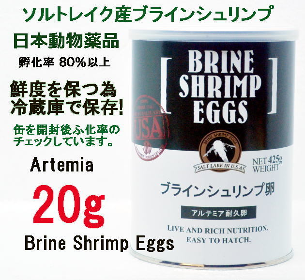 ゆうパケット 日本動物薬品 ニチドウ  ブラインシュリンプ エッグ 20g ユタ州 ソルトレイク産 ブラインシュリンプ の画像1
