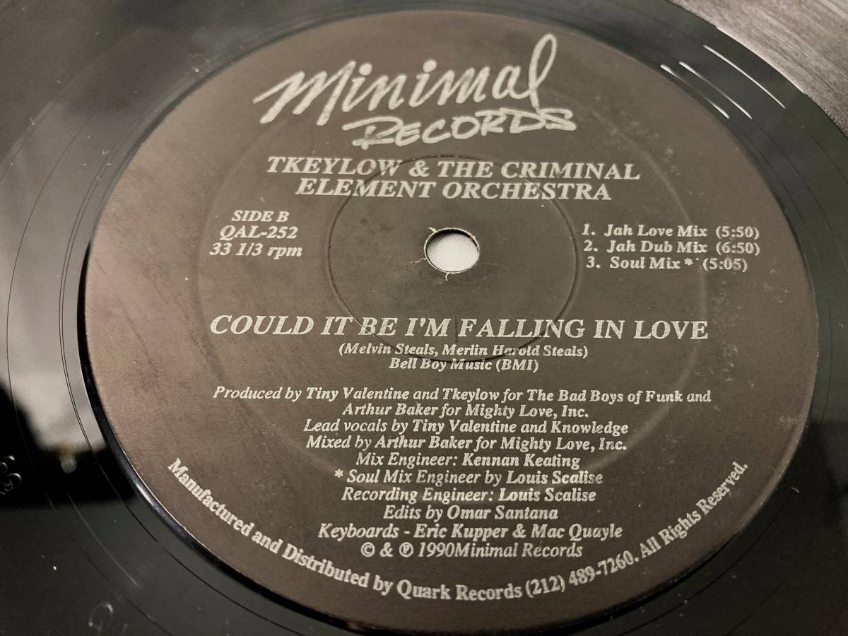 Tkeylow & The Criminal Element Orchestra Could It Be I'm Falling In Love【US盤/試聴検品済】90's/Electronic/Garage House/12inch_画像6