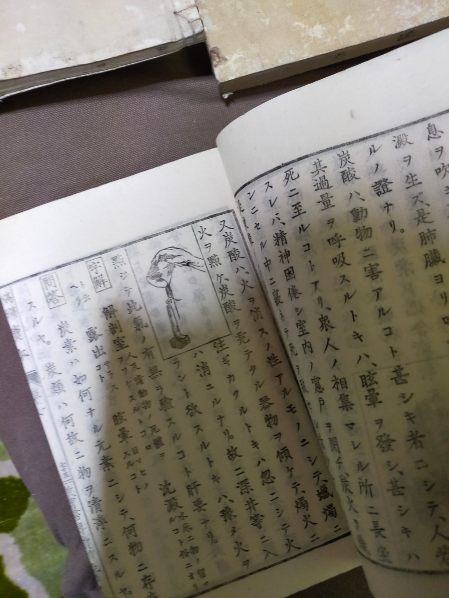 明治？教科書？ 古書？コレクション　レトロ_画像5