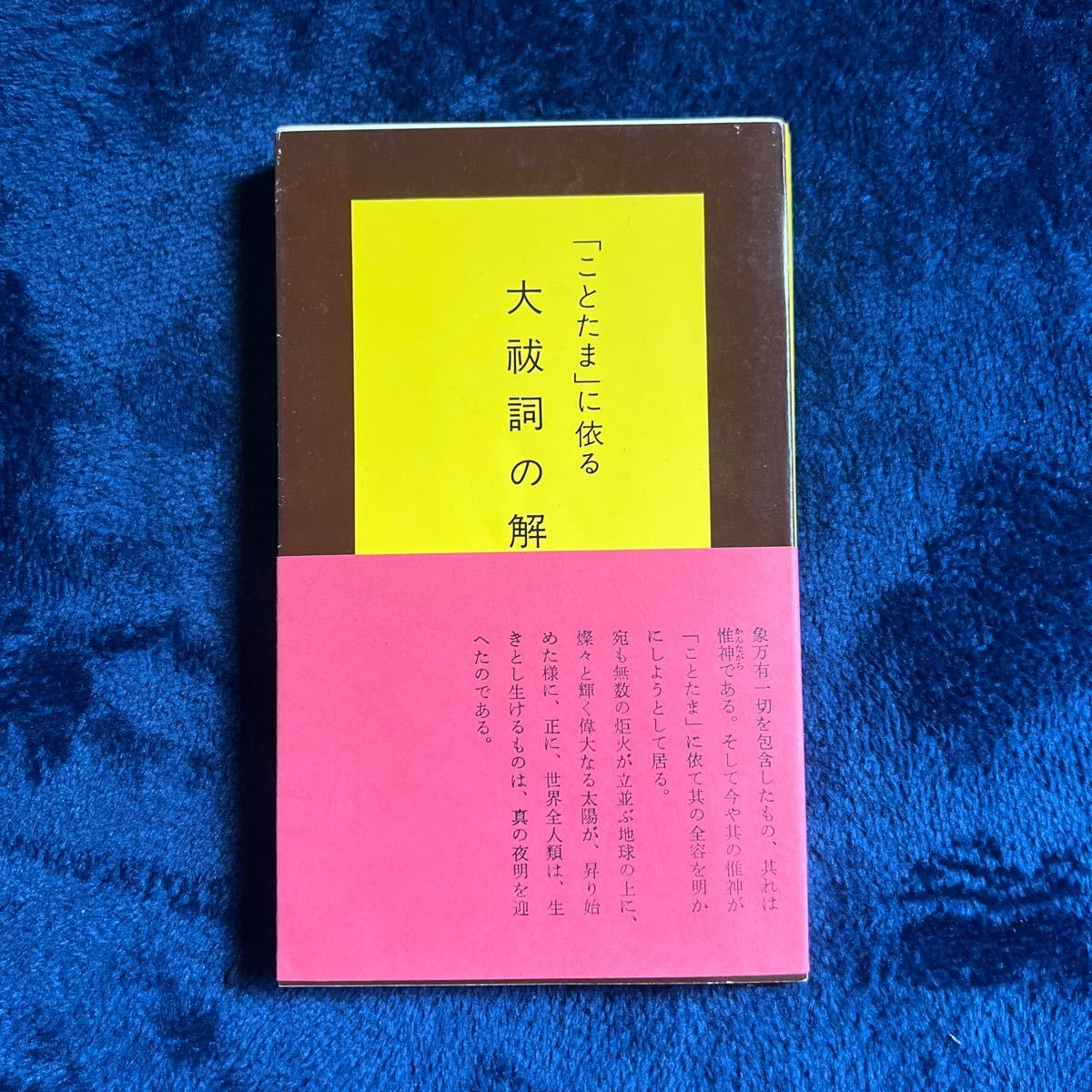 「ことたま」に依る大祓詞の解明　中西光雲【呪詛　占術　療法　言霊　霊術　霊気　仙道　神典　桑田欣児　植芝盛平　神道　神仙　合気】_画像1