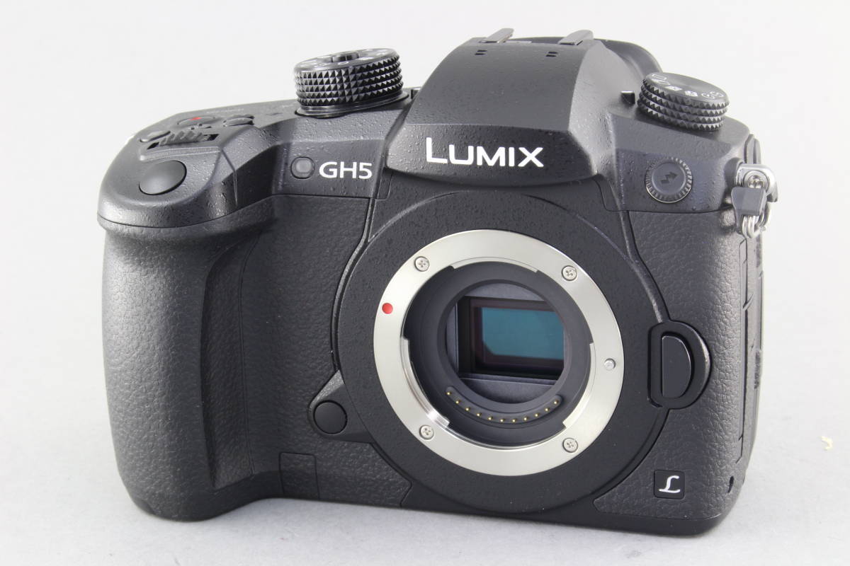 AA (極上美品) Panasonic パナソニック LUMIX RD-SPM049 (DC-GH5) ボディ 注意書き 初期不良返品無料 領収書発行可能_画像2