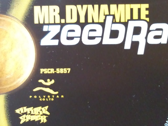 zeebra MR.DYNAMITE ジブラ PSCR-5857 ヒップホップ CD_画像6