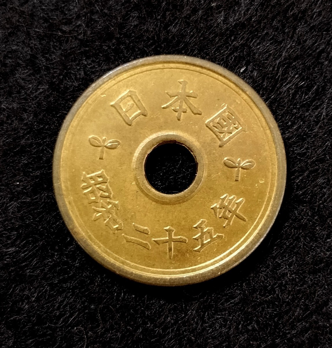 現行コインアルバム出 未使用 昭和25年 5円硬貨 五円玉 硬貨 貨幣 五円 特年_画像1