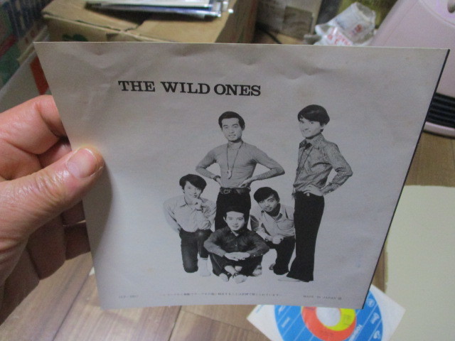  beautiful record wild * one zWILD ONES... is heart. .c/w after .. not EP.... bird ..... rice field .. Watanabe .. Tokai ..