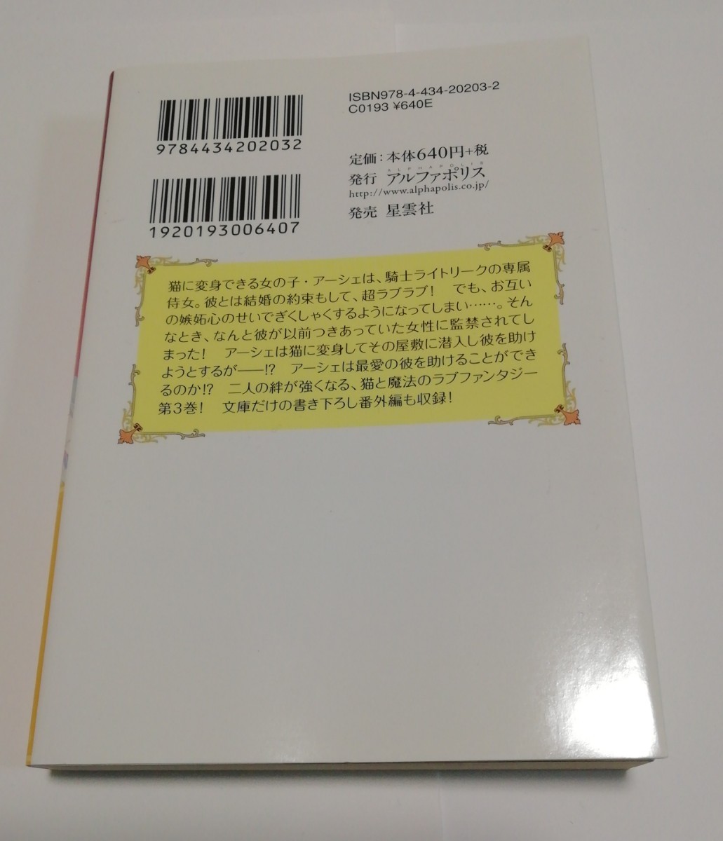 騎士様の使い魔 1-3巻 3冊（レジーナ文庫 レジーナブックス） 村沢侑_画像9