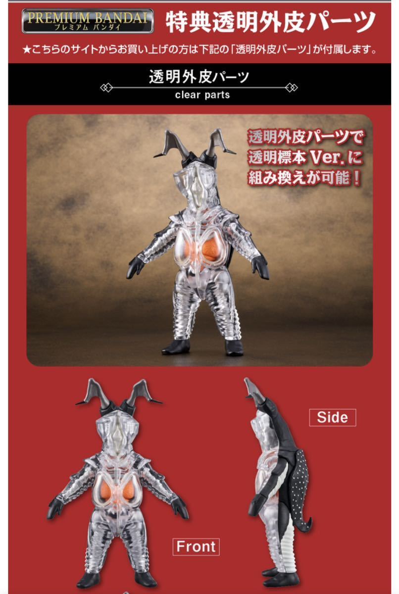 見本寫真